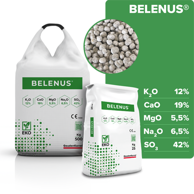 Belenus