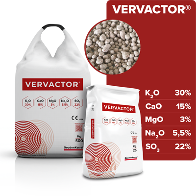 Vervactor skład 400×400